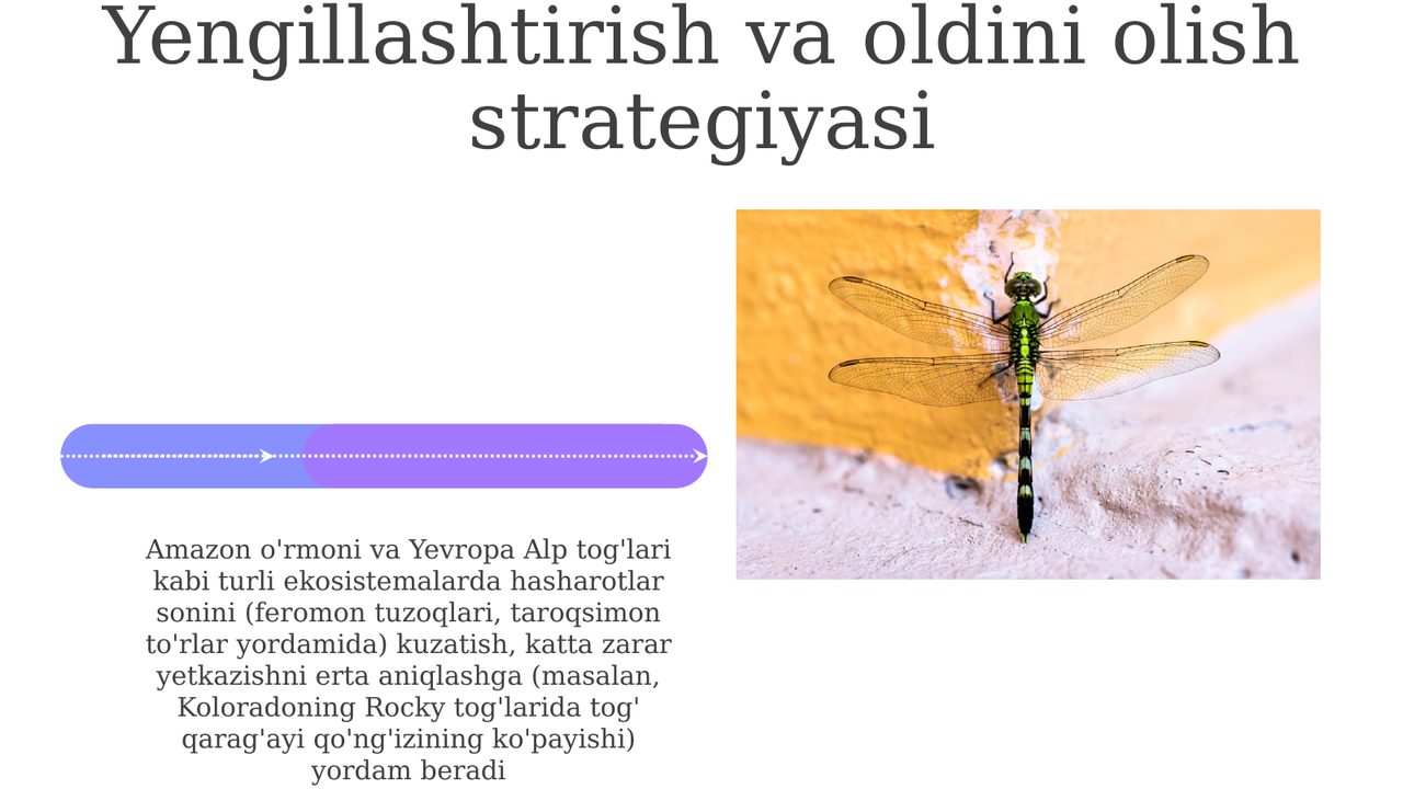 Hashorotlar Rasmi Zararkuranda hasharotlar va hasharotlarni ommaviy ko'payishi | Taqdimot ...